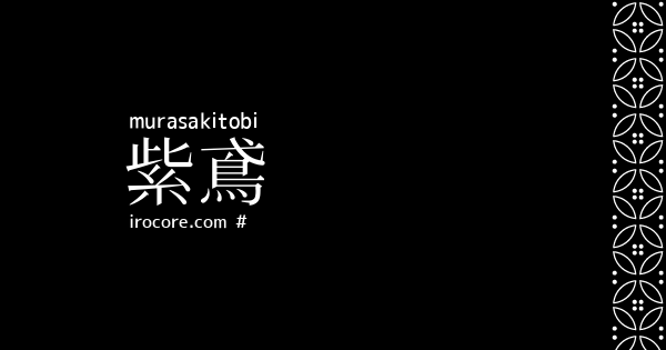 紫鳶