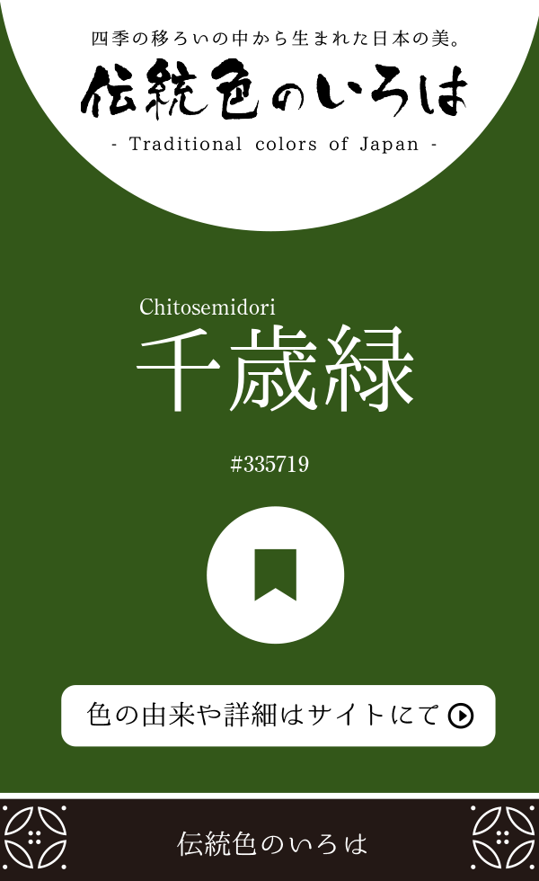千歳緑（Chitosemidori）