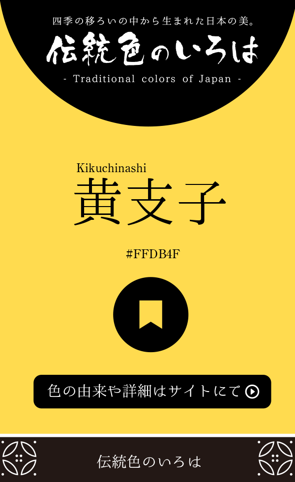 黄支子（Kikuchinashi）