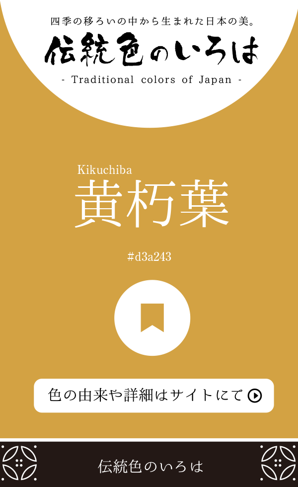 黄朽葉（Kikuchiba）
